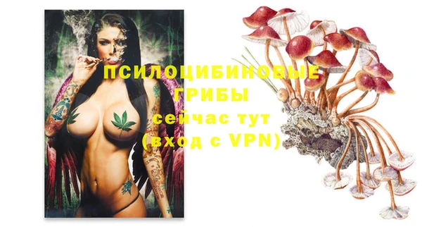 а пвп мука Дмитриев