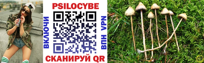 Галлюциногенные грибы GOLDEN TEACHER  Купить  Любань 